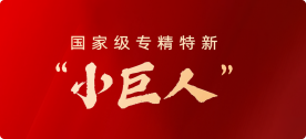 国家级专精特新小巨人